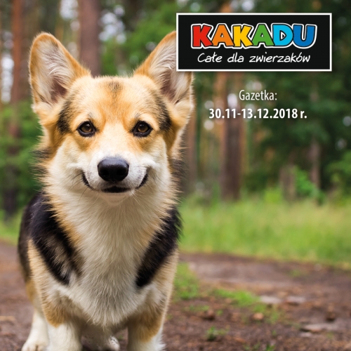 Kakadu | Gazetka 19/2018