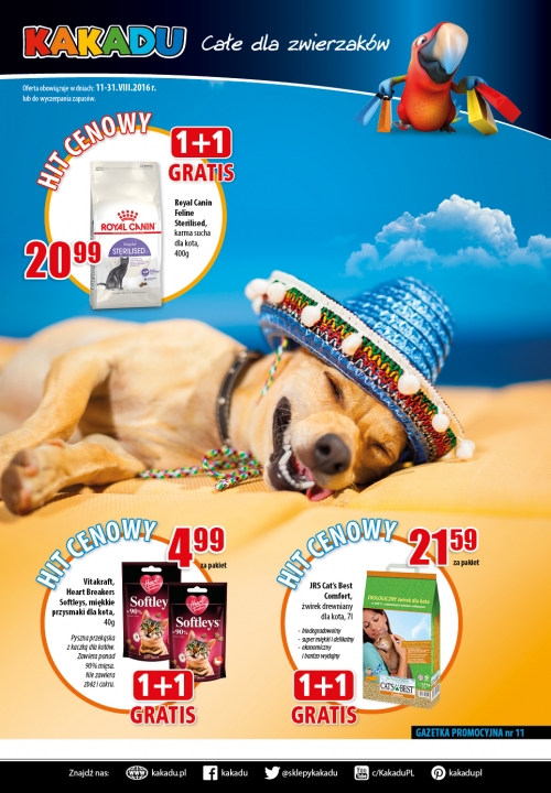 Kakadu - new magazine