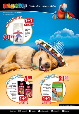 Kakadu - new magazine