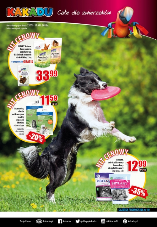 Kakadu - new magazine