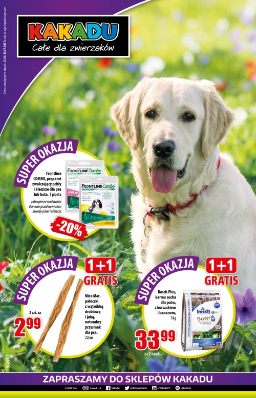 Kakadu | Magazine 9/2017
