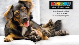 Kakadu | Gazetka 14/2019