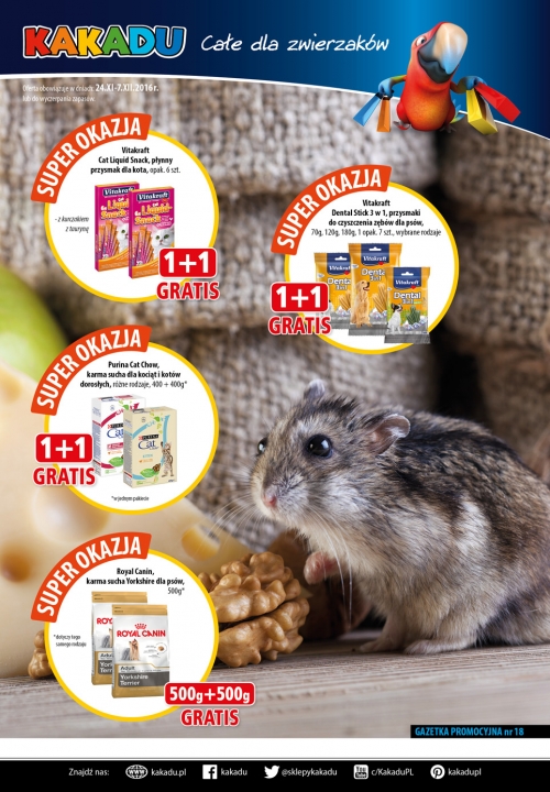 Kakadu - new magazine