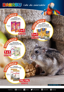 Kakadu - new magazine